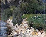 Riverbank with Flower Meadow 